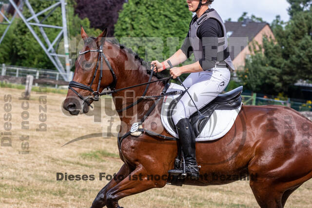 Late-Entry Vielseitigkeit Hamminkeln/Wesel (01.+02.08.2020)