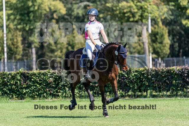 Kronenberg - De Peelbergen (August 2020)