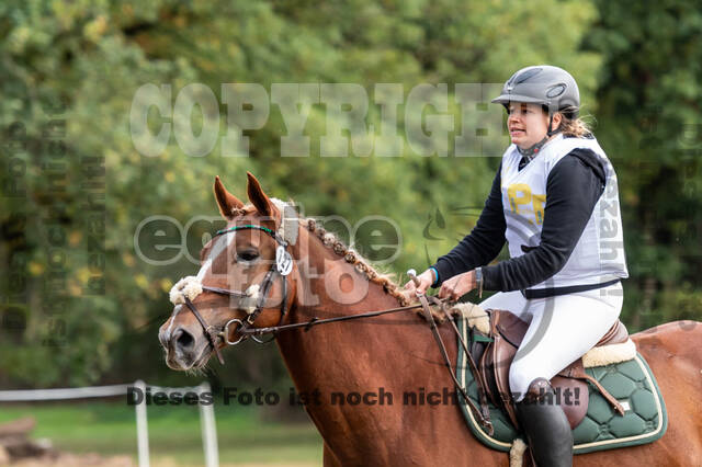 Vielseitigkeit RSV Wesel Obrighoven (26.+27.09.2020)