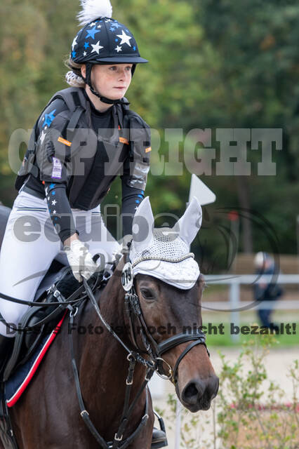 Goldene Schärpe 2020 - Pferde