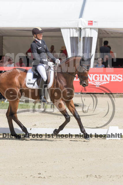 FEI European Championship Eventing 2017
