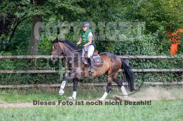 Late-Entry-Vielseitigkeit Gahlen (18.07.2020)