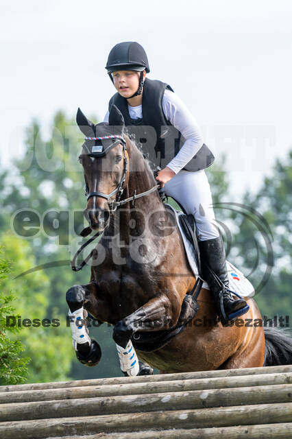 Goldene Schärpe 2021 - Ponys