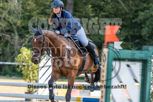 RFV Dinslaken-Hiesfeld (Herbstturnier)