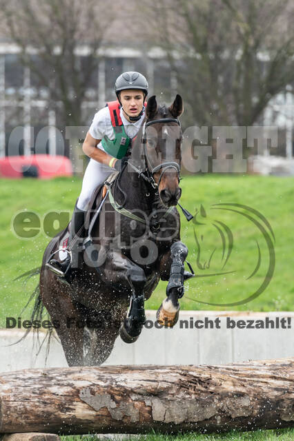 Goldene Schärpe 2020 - Pferde