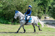 Goldene Schärpe 2021 - Ponys