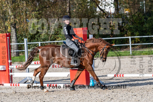 IGV Lehrgang der Sieger der Cups mit Frank Ostholt