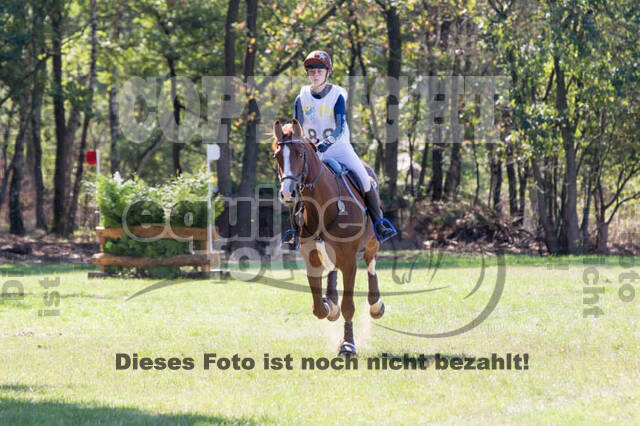 Vielseitigkeitsturnier RSV St. Hubertus Wesel Obrighoven