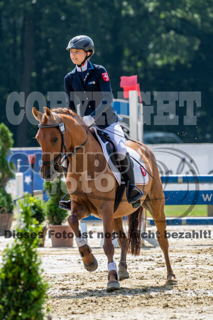 Goldene Schärpe 2021 - Ponys