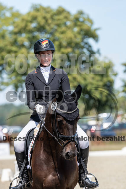 Kronenberg - De Peelbergen (August 2020)