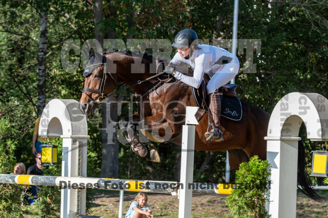 RFV Dinslaken-Hiesfeld (Herbstturnier)