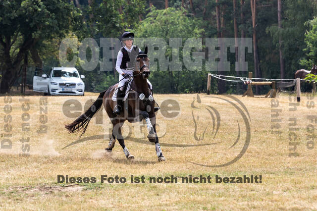 Late-Entry Vielseitigkeit Hamminkeln/Wesel (01.+02.08.2020)