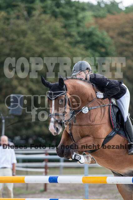 Landesturnier Rheinland, Vielseitigkeit, 22.+23.08.2020