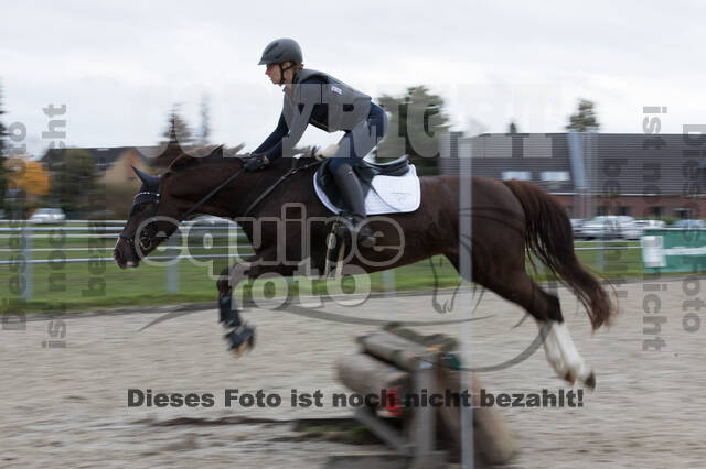 IGV Lehrgang der Sieger der Cups mit Frank Ostholt