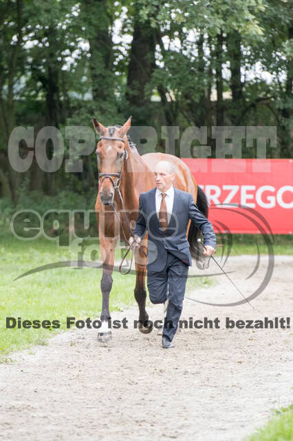 FEI European Championship Eventing 2017