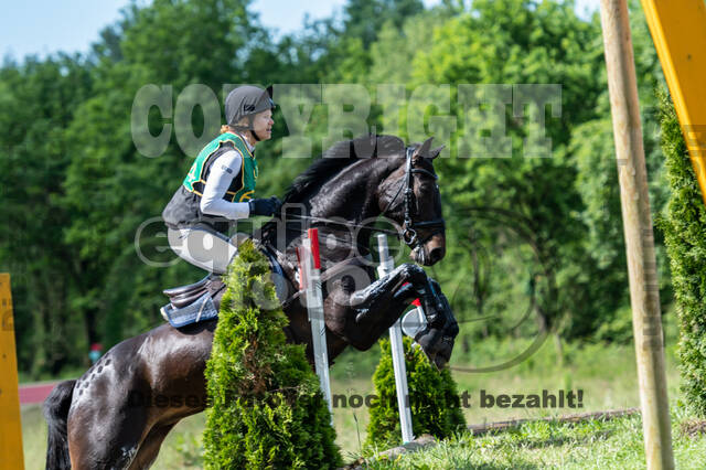 Westerstede Horse Trials (10.-13.06.2021)