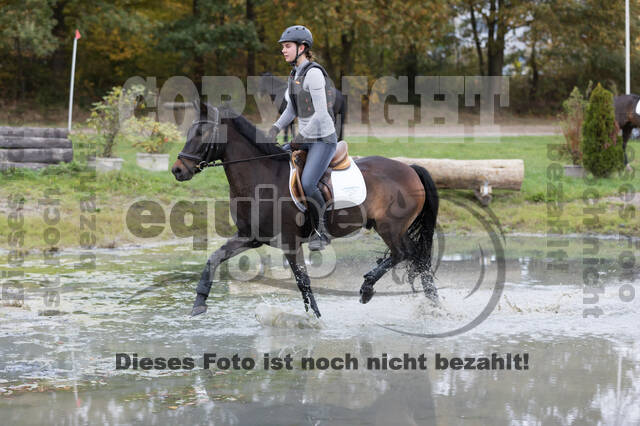 IGV Lehrgang der Sieger der Cups mit Frank Ostholt