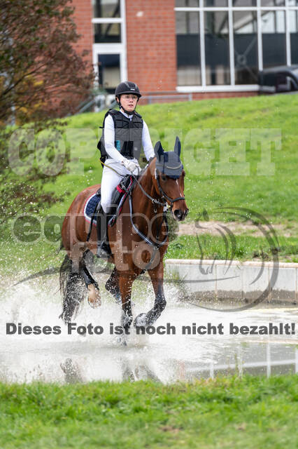 Goldene Schärpe 2020 - Pferde