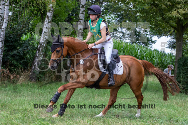 Late-Entry-Vielseitigkeit Gahlen (18.07.2020)