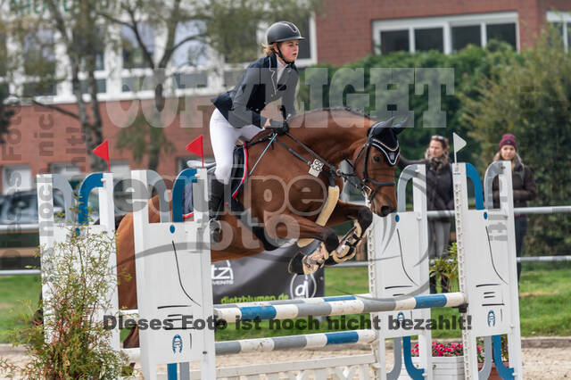 Goldene Schärpe 2020 - Pferde