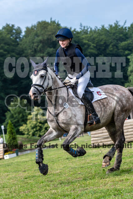 Goldene Schärpe 2021 - Ponys