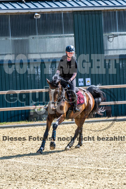 Geländetraining ZRFV Hamminkeln (09.05.2021)