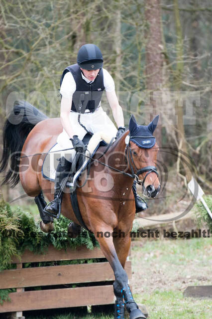 Jungpferdeprüfungen Hamminkeln