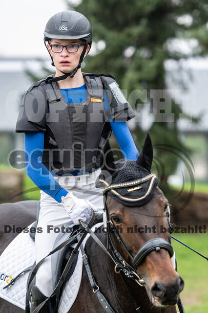 Goldene Schärpe 2020 - Pferde