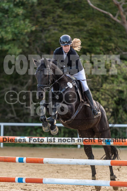 RFV Dinslaken-Hiesfeld (Herbstturnier)