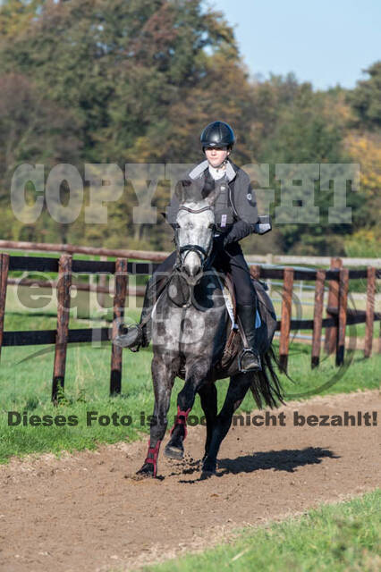 Vielseitigkeitslehrgang mit Jürg Kurbel (9.+10.11.2019)