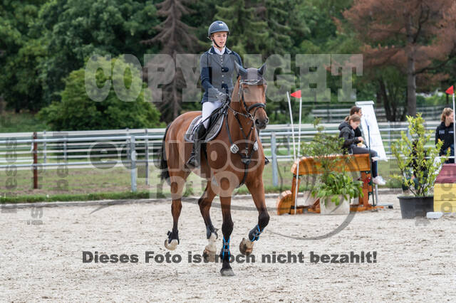 Late-Entry-Vielseitigkeit Langenfeld (06.+07.07.2020)