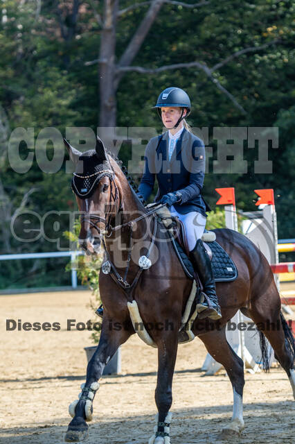 RFV Dinslaken-Hiesfeld (Herbstturnier)