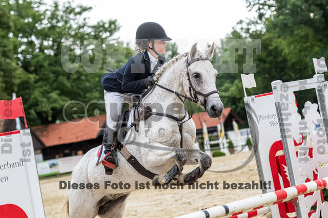 Goldene Schärpe 2021 - Ponys