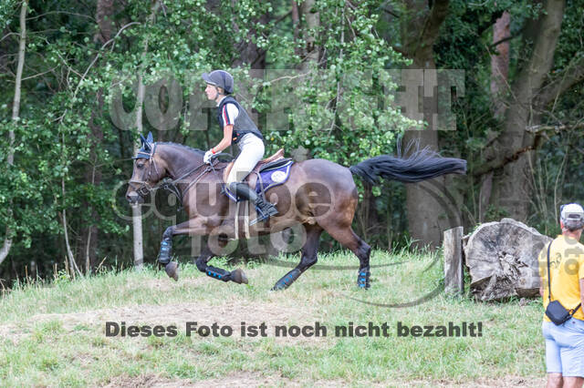 Late-Entry Vielseitigkeit Hamminkeln/Wesel (01.+02.08.2020)