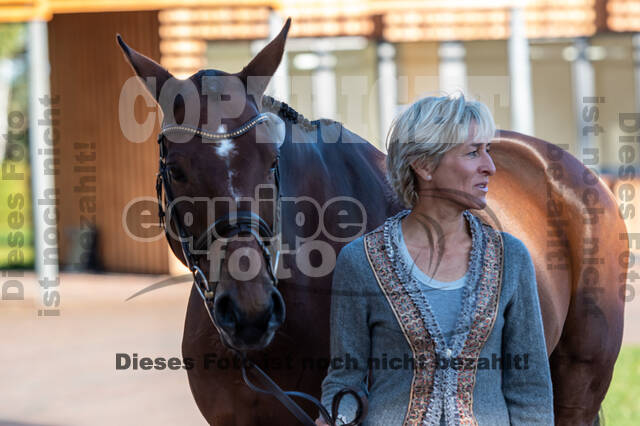 Deutsche Meisterschaft Vielseitigkeit (Luhmühlen)