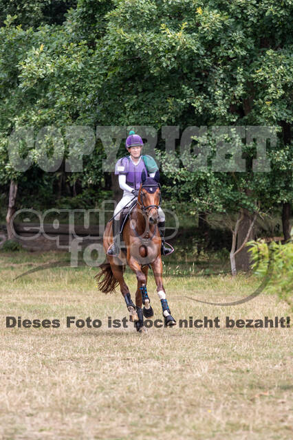 Late-Entry Vielseitigkeit Hamminkeln/Wesel (01.+02.08.2020)