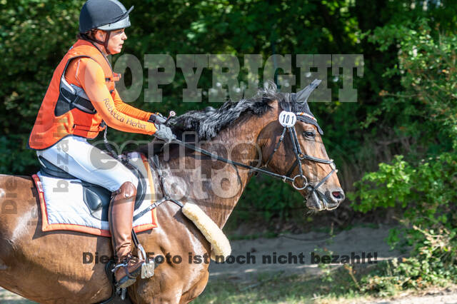 Late-Entry-Vielseitigkeit Langenfeld (11.+13./14.06.2020)