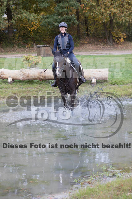 IGV Lehrgang der Sieger der Cups mit Frank Ostholt