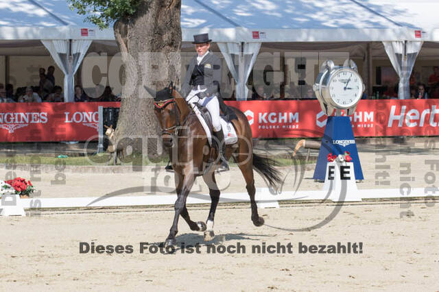 FEI European Championship Eventing 2017