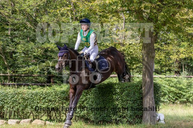 Late-Entry-Vielseitigkeit Gahlen (18.07.2020)