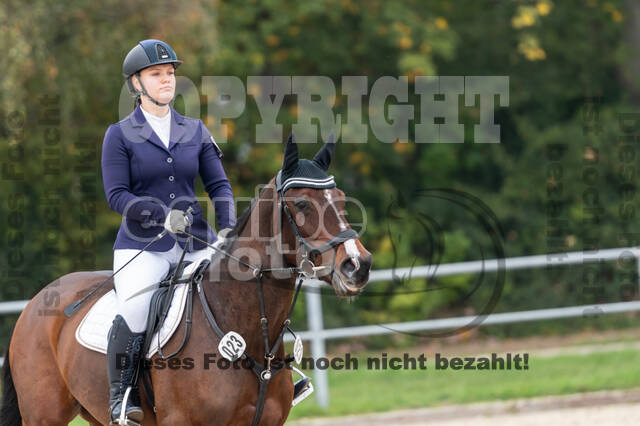 Goldene Schärpe 2020 - Pferde