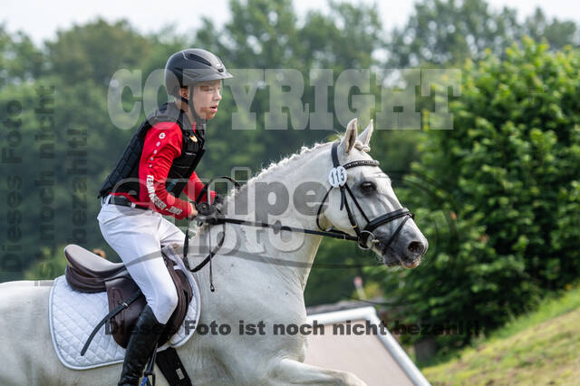 Goldene Schärpe 2021 - Ponys