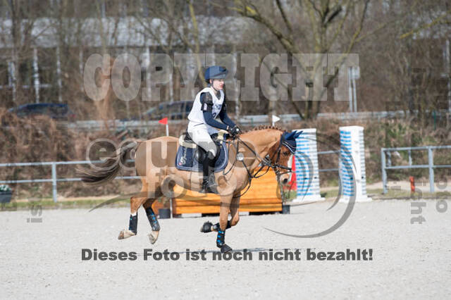 Eventing Langenfeld 2018