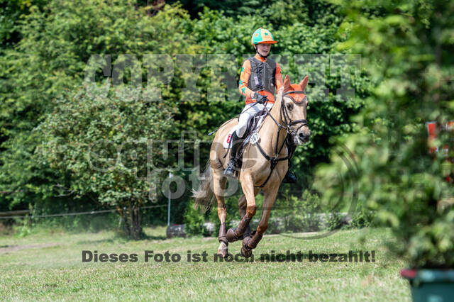 Goldene Schärpe 2021 - Ponys