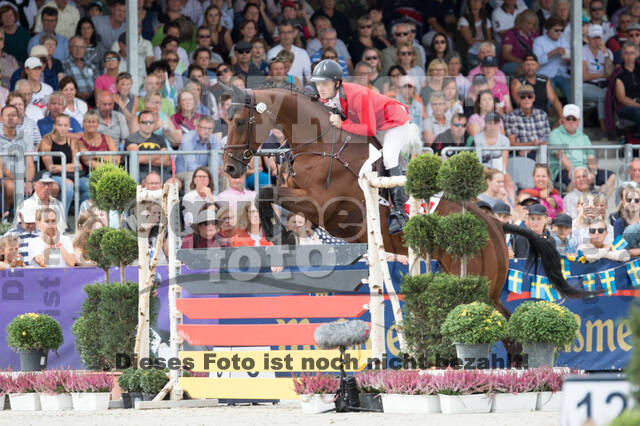 FEI European Championship Eventing 2019