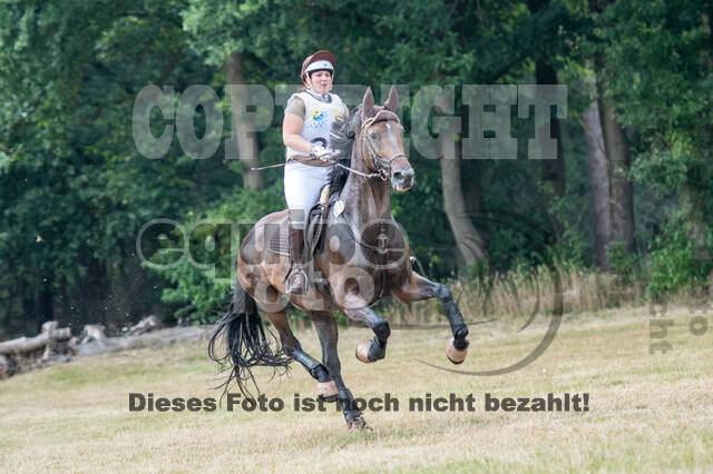 Late-Entry Vielseitigkeit Hamminkeln/Wesel (01.+02.08.2020)