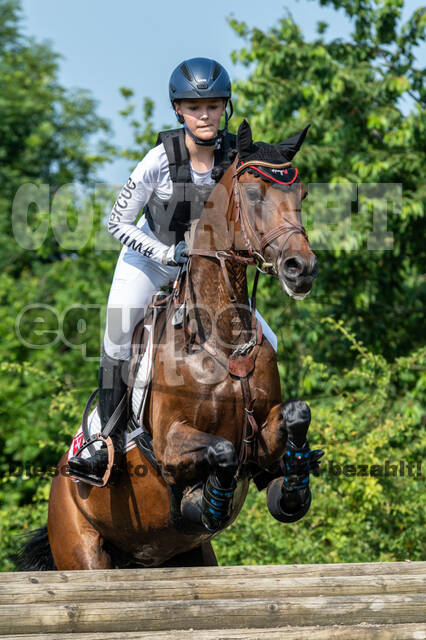 Goldene Schärpe 2021 - Ponys