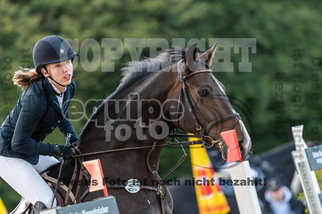 RFV Dinslaken-Hiesfeld (Herbstturnier)