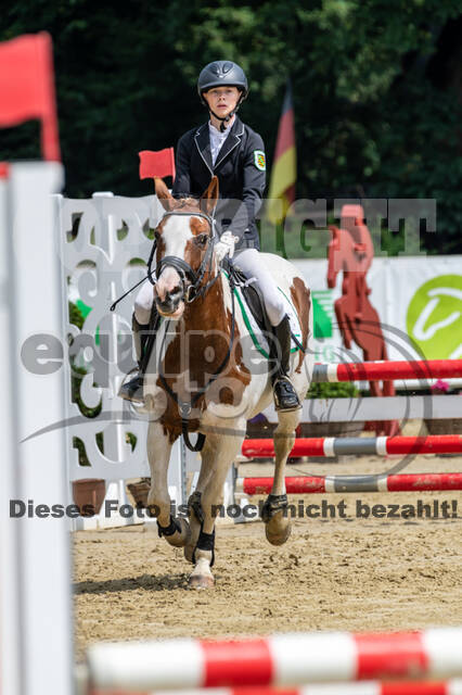 Goldene Schärpe 2021 - Ponys