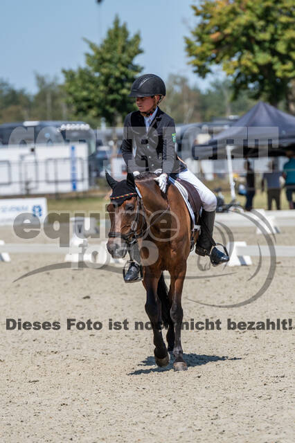 Kronenberg - De Peelbergen (August 2020)